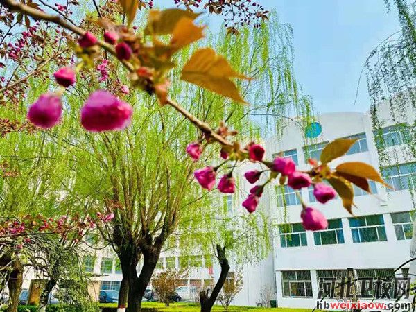秦皇島衛(wèi)生學(xué)校校園風(fēng)采3