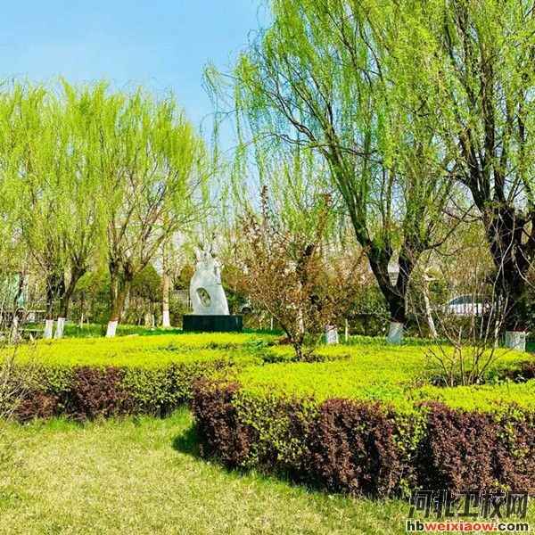 秦皇島衛(wèi)生學(xué)校校園風(fēng)采2