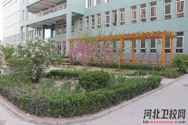 保定市女子職業(yè)中專學校校園風光2