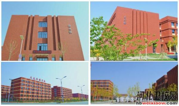 石家莊文化傳媒學(xué)校辦公樓