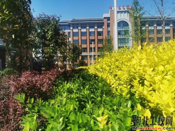 石家莊電子信息學(xué)校校園環(huán)境