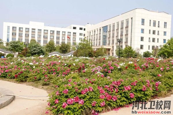 河北同仁醫(yī)學(xué)中等專(zhuān)業(yè)學(xué)校2026年招生簡(jiǎn)章