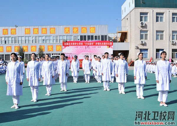 石家莊天使護(hù)士學(xué)校2026年招生簡(jiǎn)章