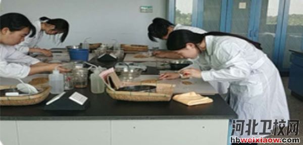 石家莊市藁城區(qū)職業(yè)技術教育中心實訓