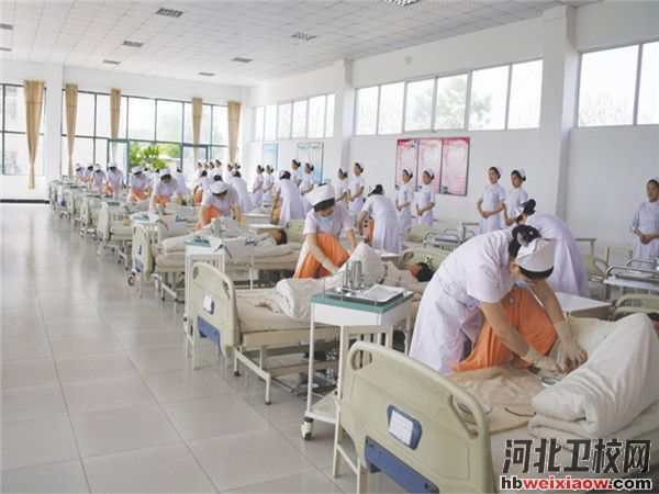 石家莊天使護(hù)士學(xué)校2026年招生計(jì)劃