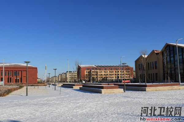 曹妃甸職業(yè)技術學院校園環(huán)境