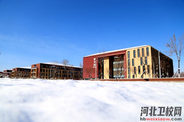 曹妃甸職業(yè)技術(shù)學(xué)院圖書館