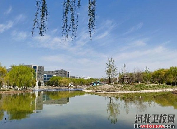 石家莊醫(yī)高專校園環(huán)境