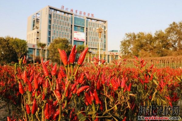 唐山職業(yè)技術(shù)學(xué)院校園風(fēng)景