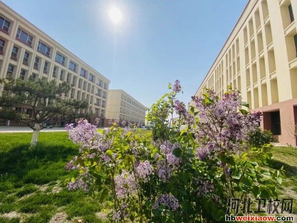 石家莊科技信息職業(yè)學院靈壽校區(qū)