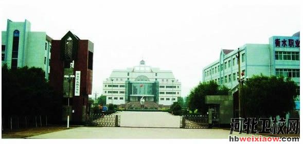 衡水職業(yè)技術(shù)學院學校門口