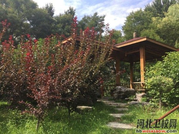 宣化科技職業(yè)學院校園環(huán)境