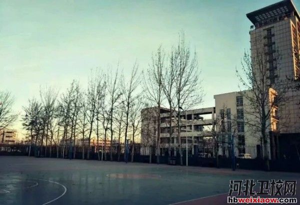 衡水職業(yè)技術學院籃球場