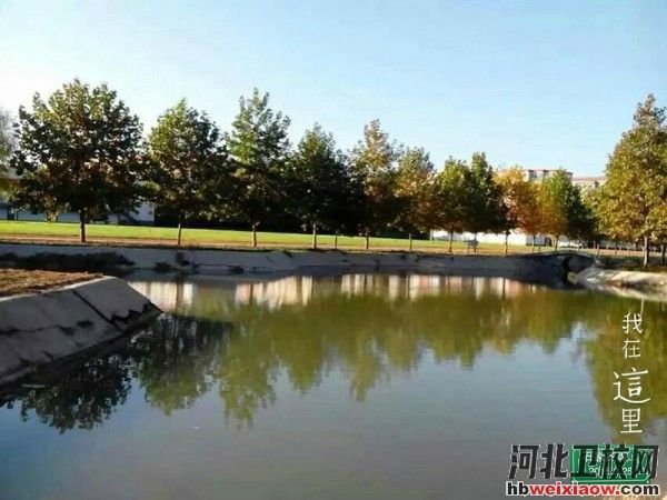 石家莊城市經(jīng)濟職業(yè)學院校園環(huán)境