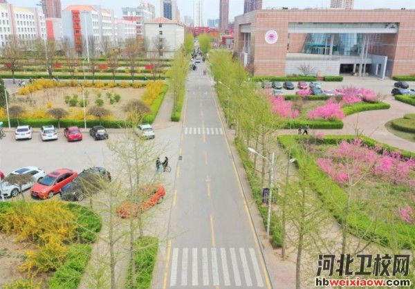 河北能源職業(yè)技術學院校園環(huán)境