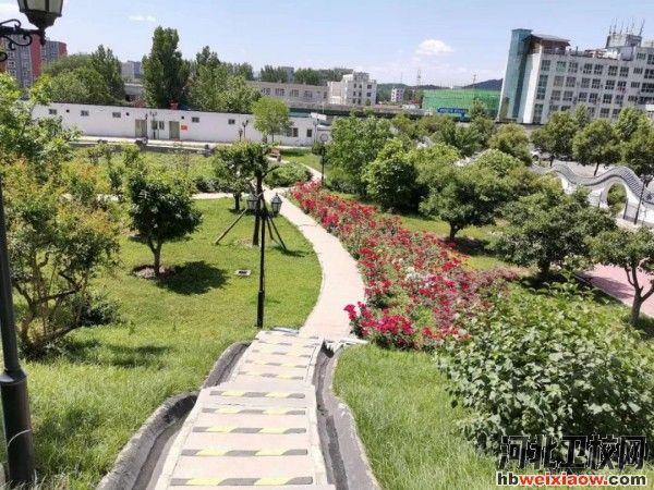 石家莊通用職業(yè)中學學校風景