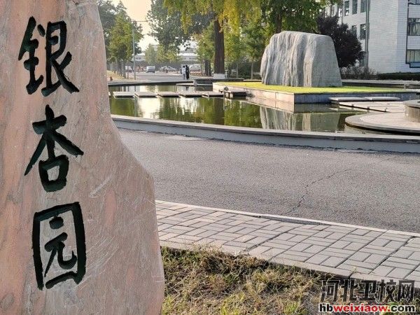 唐山幼兒師范高等專科學校銀杏園