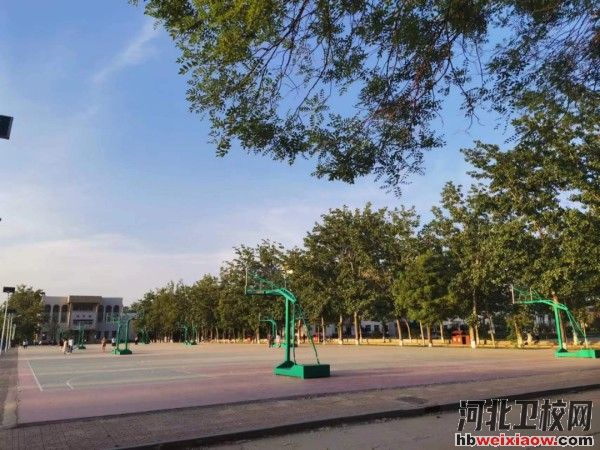 滄州幼兒師范高等專科學(xué)?；@球場